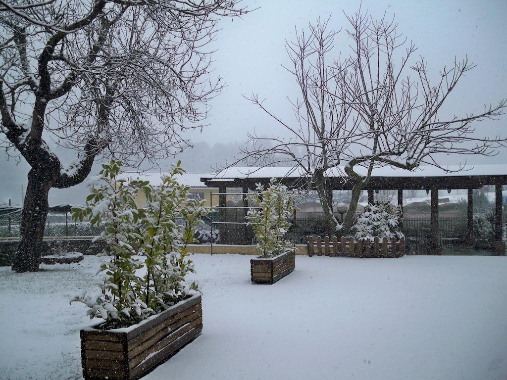 B&B Il Pantanello Rocca Di Papa Exteriör bild