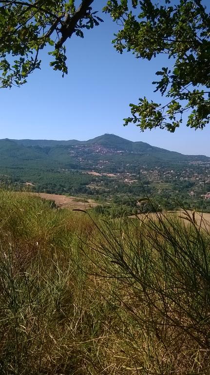 B&B Il Pantanello Rocca Di Papa Exteriör bild